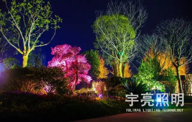 公园景观亮化实例3